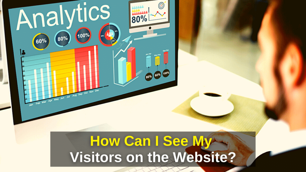 How Can I See My Visitors on the Website? - Traffic
