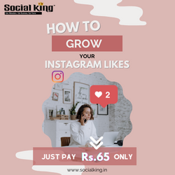 Buy Instagram Likes at Rs.65 Only